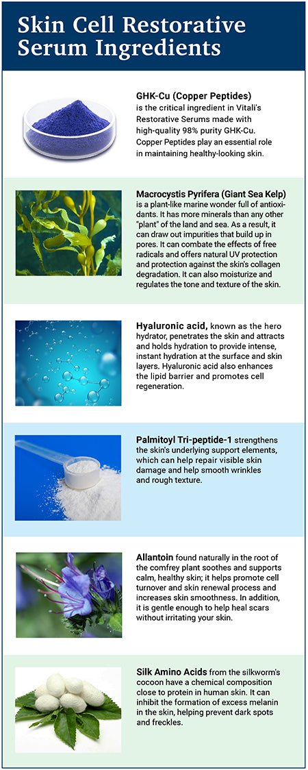 An infographic about Skin Cell Restorative Serum Ingredients, including GHK-Cu (Copper Peptides), Macrocystis Pyrifera (Giant Sea Kelp), Hyaluronic Acid, Palmitoyl Tri-peptide-1, Allantoin, and Silk Amino Acids.